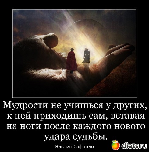 5 ����: ��������