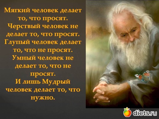 6 ����: ��������