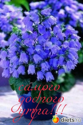 102 фото: То, что я люблю