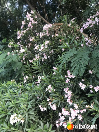 112 фото: Май 2018