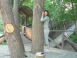 Необычное приспособление для уличной тренировки: дерево