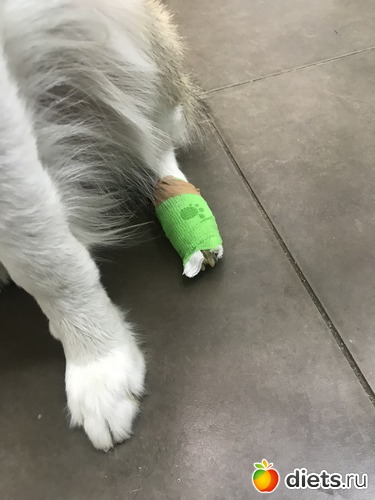 22 ����: ������� 2018