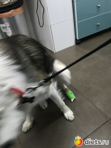 23 ����: ������� 2018