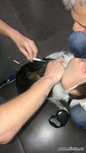 24 ����: ������� 2018