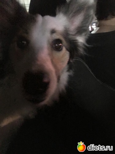 26 фото: Октябрь 2018