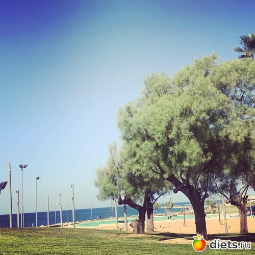 2 ����: ������ 2018