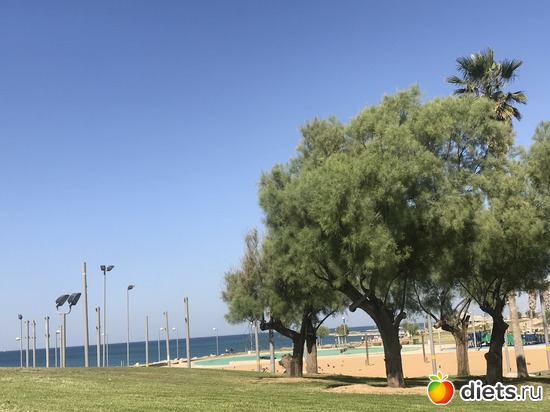 7 ����: ������ 2018