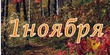 ����� �� ������� " ����� 60". ����� �� ������� �� 01.11.2018