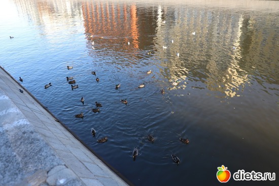 3 ����: ������