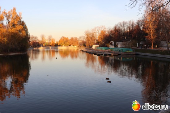 9 ����: ������