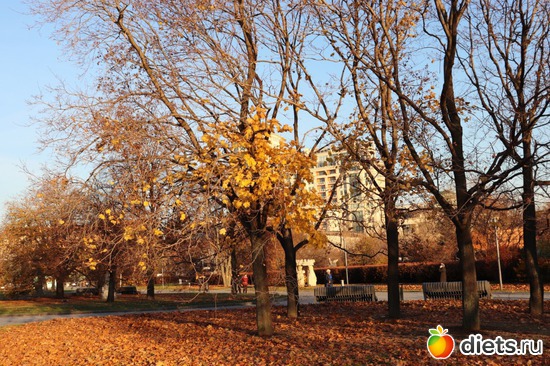 10 ����: ������