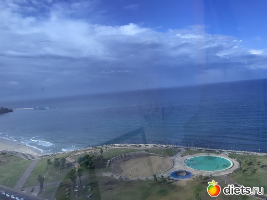 39 ����: ������ 2018