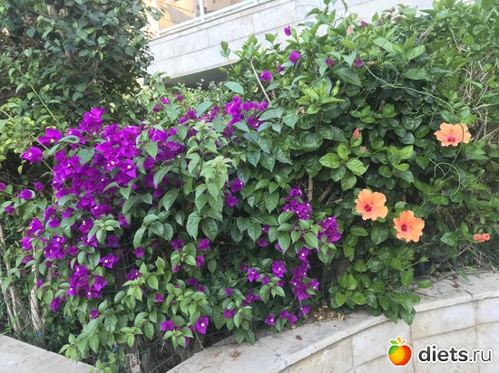 50 ����: ������ 2018