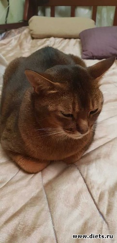 Чарли, альбом: То, что я люблю