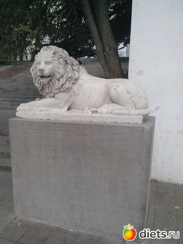 1 ����: ������������ �����