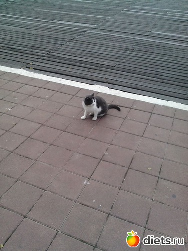 3 ����: ������������ �����