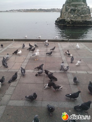 14 ����: ������������ �����