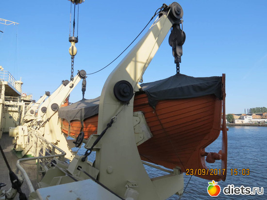 45 ����: ����� 2017 ����������/ ����������/ �����. ����.������