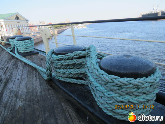 48 ����: ����� 2017 ����������/ ����������/ �����. ����.������