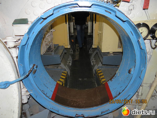 51 ����: ����� 2017 ����������/ ����������/ �����. ����.������