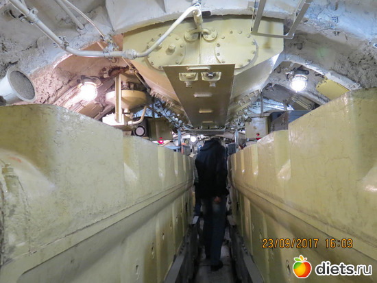 52 ����: ����� 2017 ����������/ ����������/ �����. ����.������