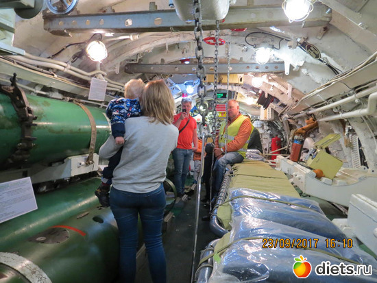 55 ����: ����� 2017 ����������/ ����������/ �����. ����.������