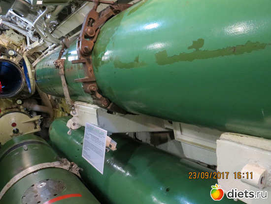 56 ����: ����� 2017 ����������/ ����������/ �����. ����.������