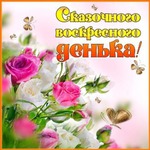 Забег по системе " Минус 60". отчёт по питанию за 25.11.2018