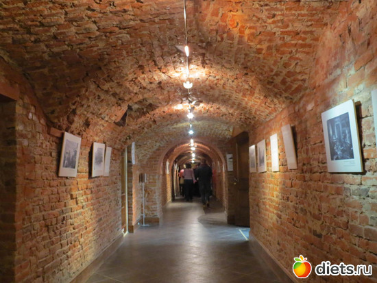 104 ����: ����� 2017 ����������/ ����������/ �����. ����.������