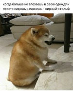 ������� ������ ������  \\ ( ^ _ ^ ) //