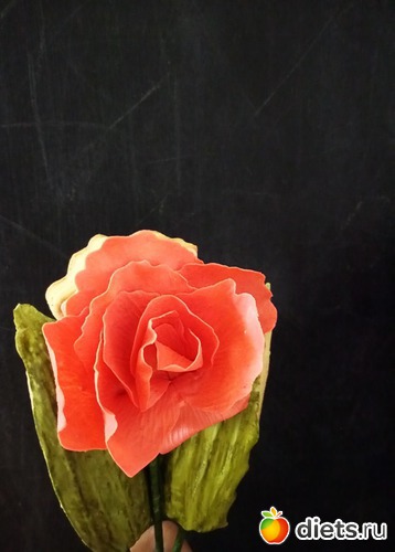 31 ����: ��� �������