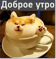 Забег по системе " Минус 60". отчёт по питанию за 03.10.2018