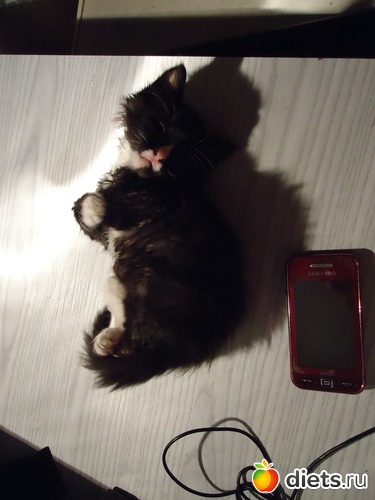 ���� 1 �����, ������: ��� �������