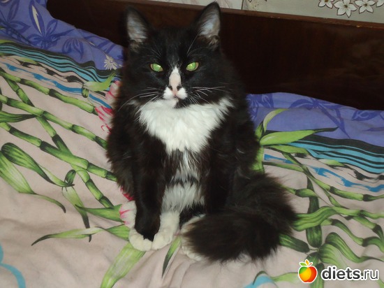 4 ������, ������: ��� �������