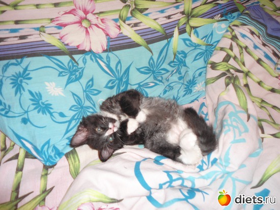 7 ����: ��� �������