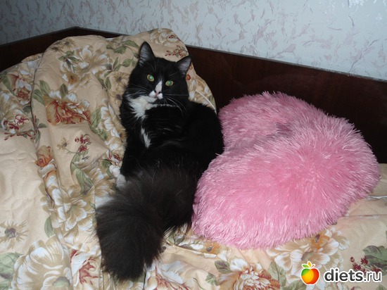 8 фото: Мои кошарки