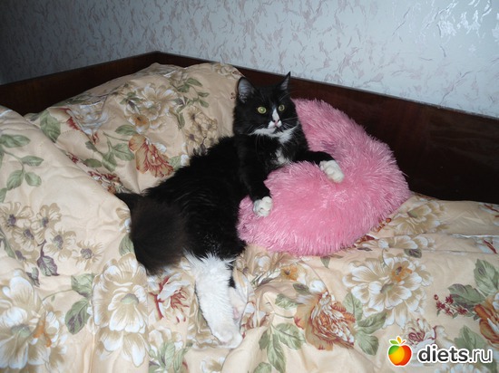 9 фото: Мои кошарки