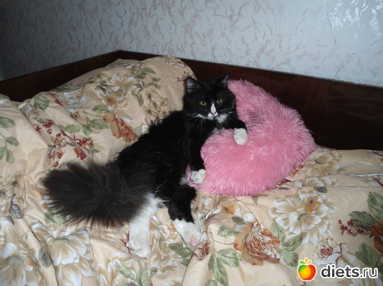 10 ����: ��� �������