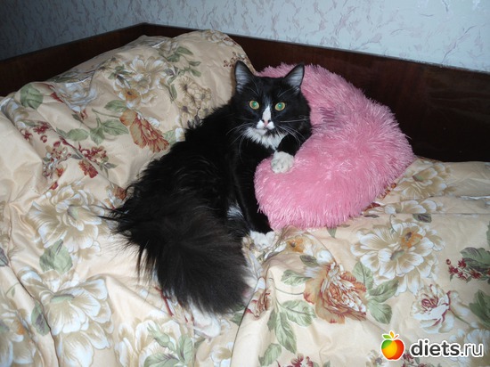 11 ����: ��� �������