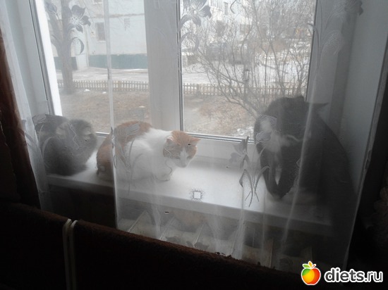 ����, ����� � ����, ������: ��� �������