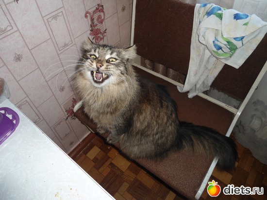 ����, ������: ��� �������