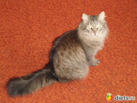 ���� 9 ���, ������: ��� �������