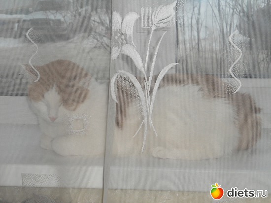 21 ����: ��� �������