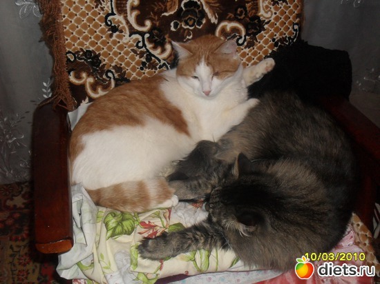 ���� � ������ �� 5 ���, ������: ��� �������