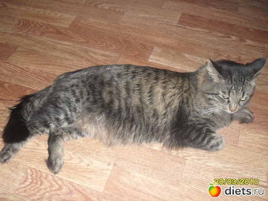 ��� �� ������, ������: ��� �������