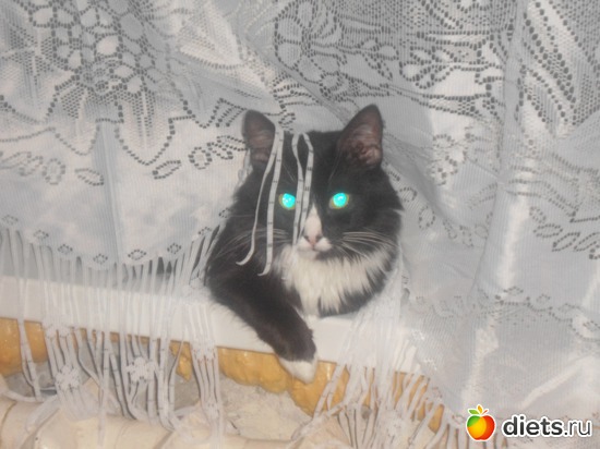 25 ����: ��� �������