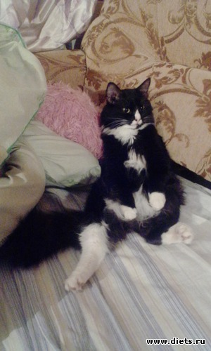 26 ����: ��� �������