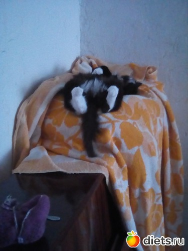 36 фото: Мои кошарки