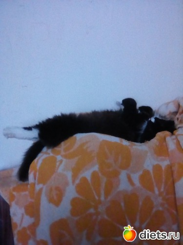 37 ����: ��� �������