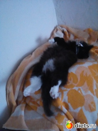 38 ����: ��� �������